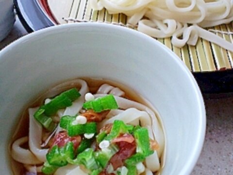 サッパリ冷たい梅おくらうどん